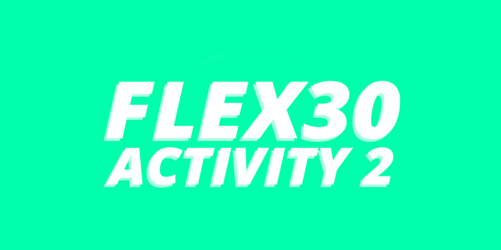 FLEX 30 Activity 2: Reflecting on the delivery of a workshop presentation